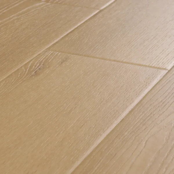 Canyon Signature + NE